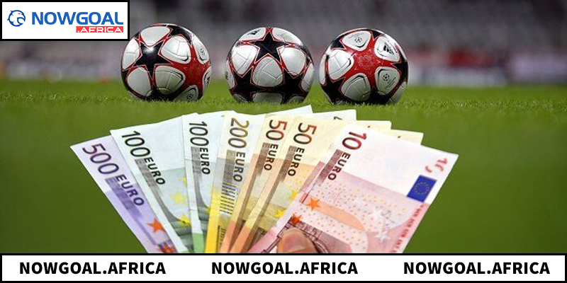 Các tiêu chí giúp đánh giá nền tảng chất lượng và phù hợp