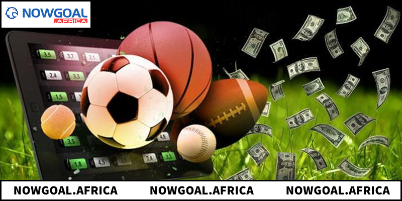 Hiểu quy trình cơ bản để chơi thể thao ảo hiệu quả