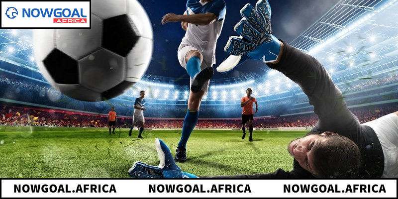 Tổng hợp các dịch vụ dữ liệu và thông số thể thao chuyên sâu