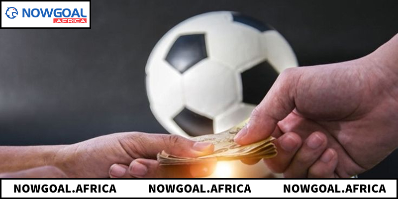 Trang cá cược bóng đá cung cấp thông tin và hỗ trợ phân tích